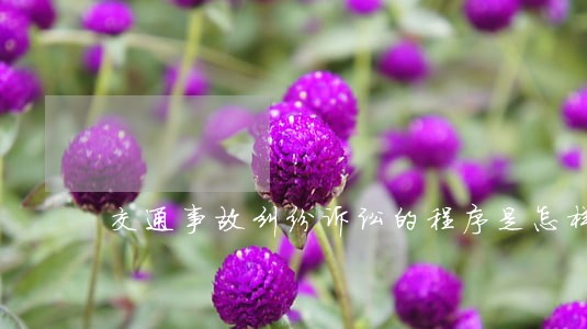交通事故纠纷诉讼的程序是怎样的 交通事故纠纷诉讼的程序是怎样的