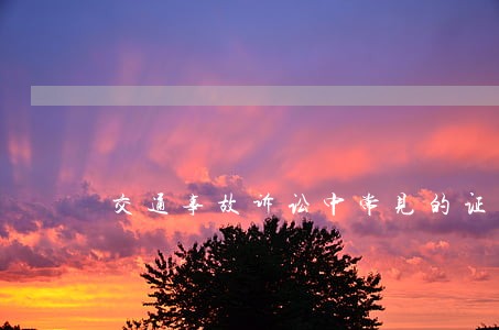 交通事故诉讼中常见的证据有哪些 交通事故诉讼中常见的证据有哪些