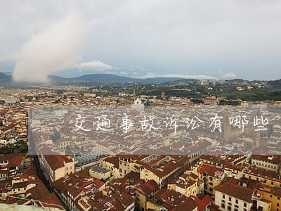 交通事故诉讼有哪些