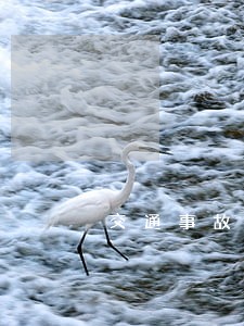 交通事故诉讼期限是多长时间 交通事故诉讼期限是多长时间