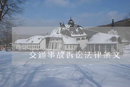 交通事故诉讼法律条文