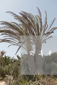 交通事故诉讼状范本是怎样 交通事故诉讼状范本是怎样