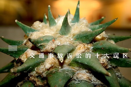 交通事故诉讼的十大误区是什 交通事故诉讼的十大误区是什