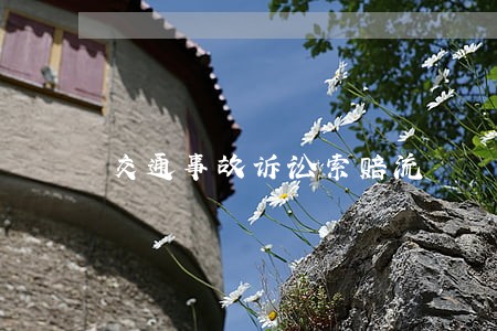交通事故诉讼索赔流