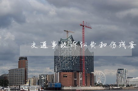 交通事故诉讼费和伤残鉴定费