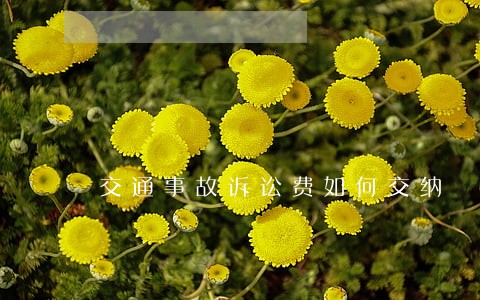 交通事故诉讼费如何交纳 交通事故诉讼费如何交纳