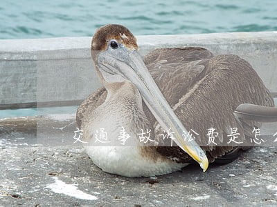 交通事故诉讼费是怎么收取的 交通事故诉讼费是怎么收取的