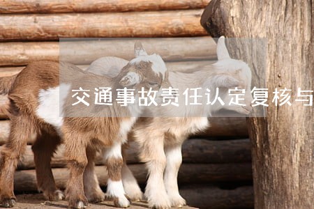交通事故责任认定复核与诉讼 交通事故责任认定复核与诉讼
