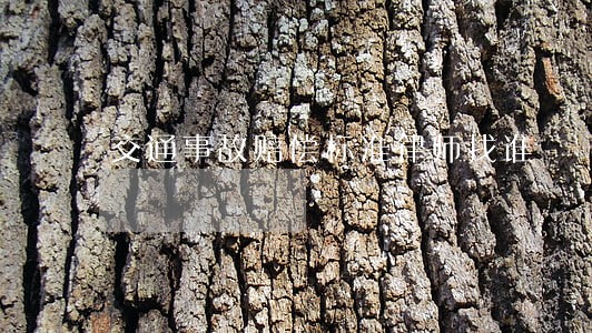 交通事故赔偿标准律师找谁 交通事故赔偿标准律师找谁