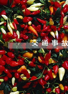 交通事故赔偿诉讼书范文要怎样写 交通事故赔偿诉讼书范文要怎样写