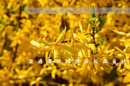 交通事故赔偿诉讼具备材料
