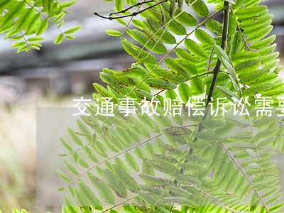 交通事故赔偿诉讼需要哪些证据 交通事故赔偿诉讼需要哪些证据