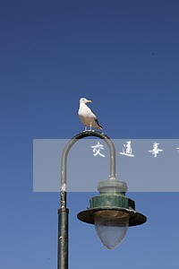 交通事故赔款导致信用卡逾期