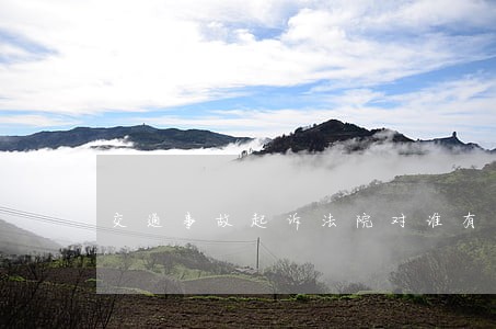 交通事故起诉法院对谁有利
