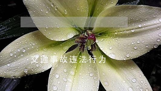 交通事故违法行为 交通事故违法行为
