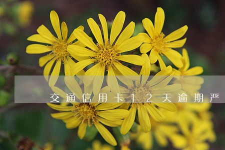 交通信用卡12天逾期严重吗 交通信用卡12天逾期严重吗