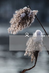 交通信用卡2万逾期3个月 交通信用卡2万逾期3个月