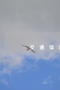 交通信用卡6万逾期一年 交通信用卡6万逾期一年
