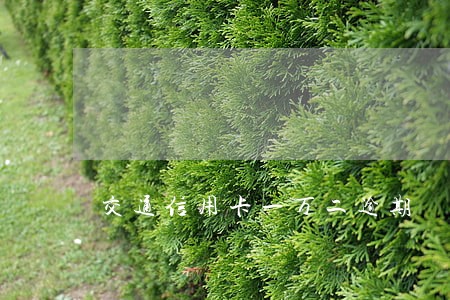 交通信用卡一万二逾期