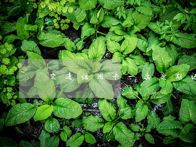 交通信用卡一次逾期记录 交通信用卡一次逾期记录