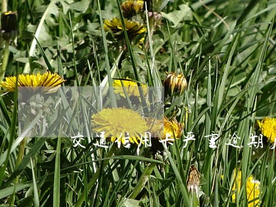 交通信用卡严重逾期后果