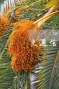 交通信用卡半年怎么协商还逾期