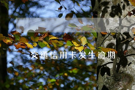 交通信用卡发生逾期 交通信用卡发生逾期