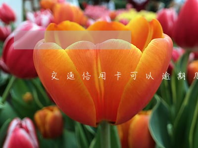 交通信用卡可以逾期几个月 交通信用卡可以逾期几个月
