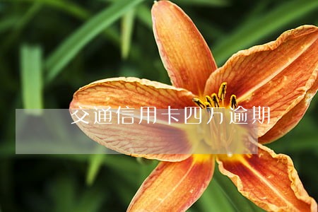 交通信用卡四万逾期 交通信用卡四万逾期