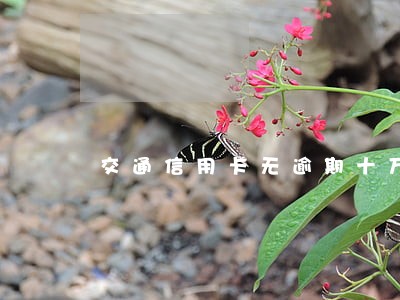 交通信用卡无逾期十万起批