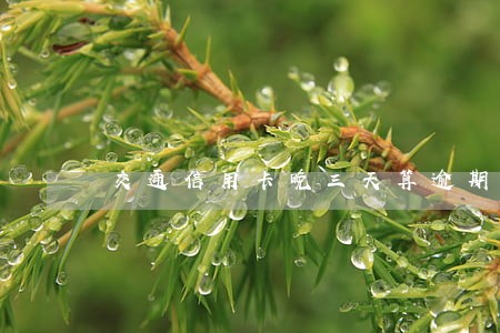 交通信用卡晚三天算逾期吗