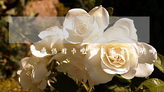 交通信用卡晚两天还算逾期吗 交通信用卡晚两天还算逾期吗