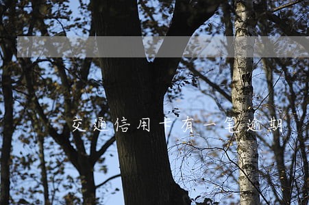 交通信用卡有一笔逾期 交通信用卡有一笔逾期