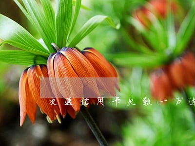 交通信用卡欠款一万逾期两个月 交通信用卡欠款一万逾期两个月