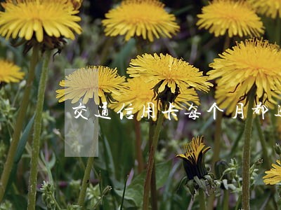 交通信用卡每个月都逾期但是
