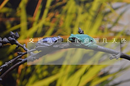 交通信用卡能逾期几天还 交通信用卡能逾期几天还