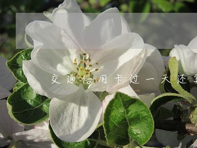 交通信用卡过一天还算不算逾期 交通信用卡过一天还算不算逾期