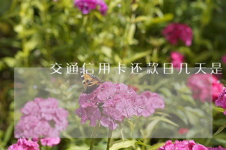 交通信用卡还款日几天是逾期 交通信用卡还款日几天是逾期