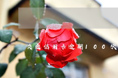 交通信用卡逾期100块 交通信用卡逾期100块