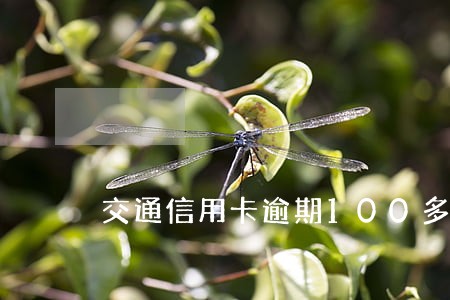 交通信用卡逾期100多天了