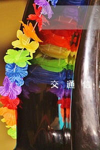 交通信用卡逾期10多天 交通信用卡逾期10多天
