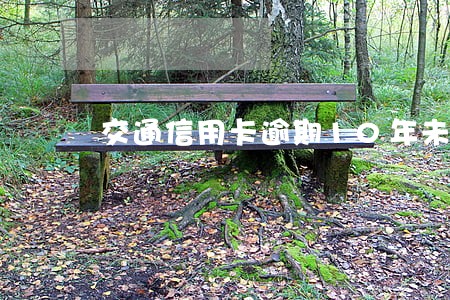交通信用卡逾期10年未还