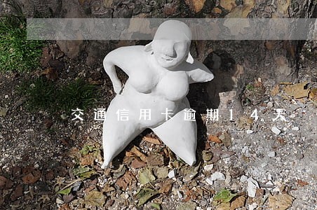交通信用卡逾期14天