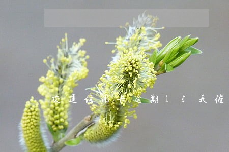 交通信用卡逾期15天催收电话 交通信用卡逾期15天催收电话