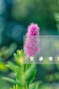 交通信用卡逾期1万上门 交通信用卡逾期1万上门