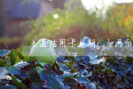 交通信用卡逾期1个月后果 交通信用卡逾期1个月后果