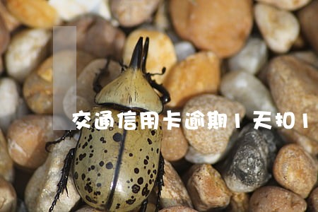 交通信用卡逾期1天扣10块
