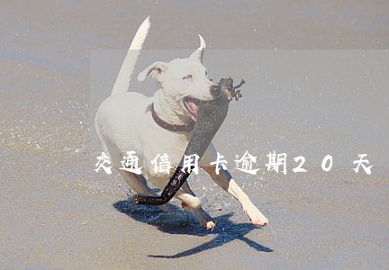 交通信用卡逾期20天 交通信用卡逾期20天