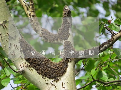 交通信用卡逾期2年了 交通信用卡逾期2年了