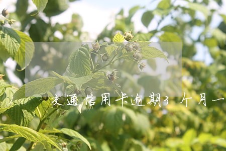 交通信用卡逾期3个月一次性还清 交通信用卡逾期3个月一次性还清